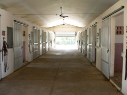 west side of stables